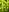 GARDENA SMART SILENO LIFE KIT 1000QM - Manuel d'utilisation - 129