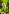 GARDENA SMART SILENO LIFE KIT 1000QM - Manuel d'utilisation - 125