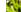 GARDENA SMART SILENO LIFE KIT 1000QM - Manuel d'utilisation - 34