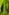 GARDENA SMART SILENO LIFE KIT 1000QM - Manuel d'utilisation - 141