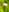 GARDENA SMART SILENO LIFE KIT 1000QM - Manuel d'utilisation - 98