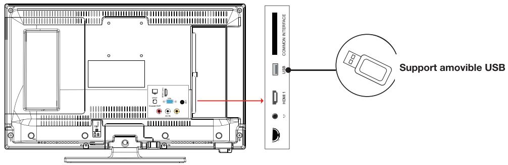 COMMON INTERFACE SUPPORT AMOVIBLE USB HDMI 1