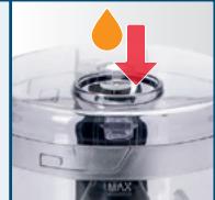 KOENIG B04204 - I/ii ordre ou ou - 2