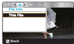 SAMSUNG HMX-U100UP - FILE INFO (INFO FICH) - 2