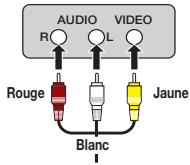 AUDIO R L VIDEO Rouge Blanc Jaune