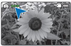 SAMSUNG SMX-C20RP - Prise de PHOTOS - 3