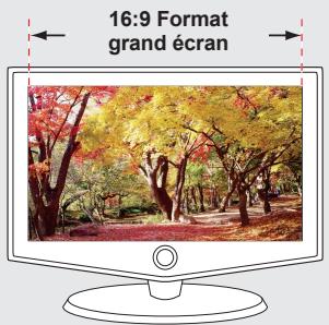 SAMSUNG SMX-F30 BLACK - Enregistrement et visionnement polyvalent au format 4:3 et 16:9 - 1