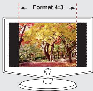 SAMSUNG SMX-F30 BLACK - Enregistrement et visionnement polyvalent au format 4:3 et 16:9 - 2