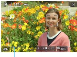 CANON EOS 800D - ^ (face)+Tracking: AF - 1