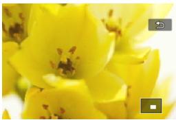 CANON EOS 800D - Scroll around the image. - 1