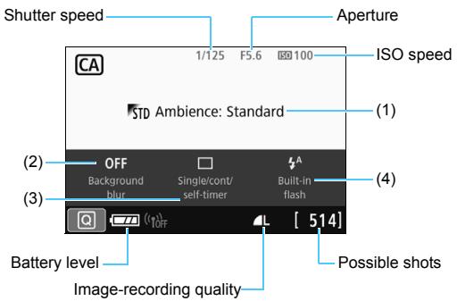 CANON EOS 800D - Take the picture. - 1