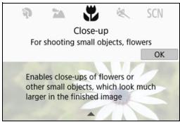 CANON EOS 800D - Turn the Mode Dial. - 1