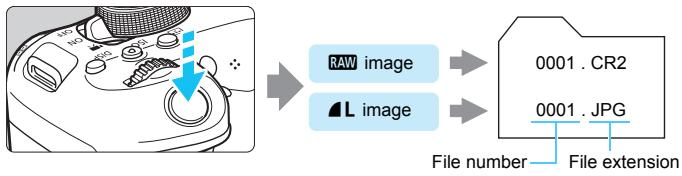 CANON EOS 800D - RAW+4L - 1