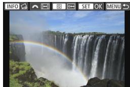 CANON EOS 800D - Correcting the Tilt - 1