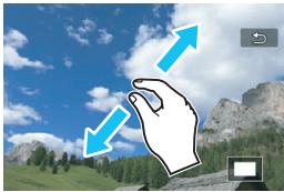 CANON EOS 800D - Magnifying Image - 1