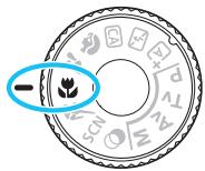 CANON EOS 800D - Shooting Tips - 1