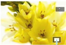 CANON EOS 800D - Magnify the image. - 1