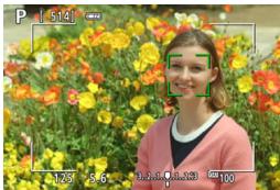 CANON EOS 800D - Display the Live View image. - 1