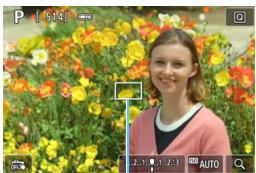 CANON EOS 800D - Live 1-point AF: AF□ - 1