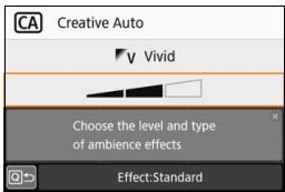 CANON EOS 800D - Take the picture. - 2