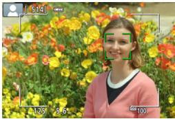 CANON EOS 800D - Display the Live View image on the LCD monitor. - 1