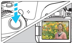 CANON EOS 800D - Focus on the subject. - 1