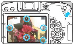 CANON EOS 800D - Magnified View - 1