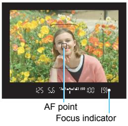 CANON EOS 800D - One-Shot AF for Still Subjects - 1