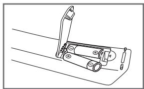 SAMSUNG CW-29Z418T - Insertion des piles dans la télécommande - 2