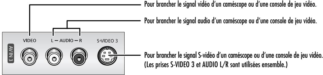SAMSUNG HL-S4265W - Prises du panneau l'etal - 1
