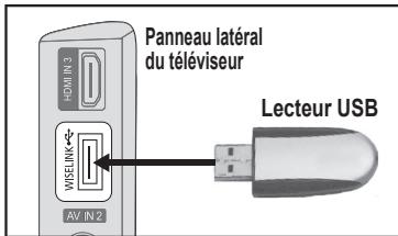 SAMSUNG LE40A550P1R - Utilisation de la fonction wiselink - 1