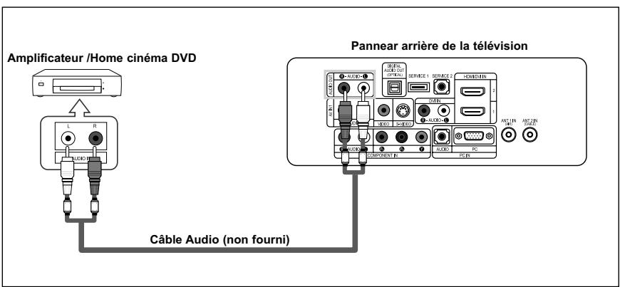 SAMSUNG LN-S2641D - Branchement d'un système audio numérique - 2