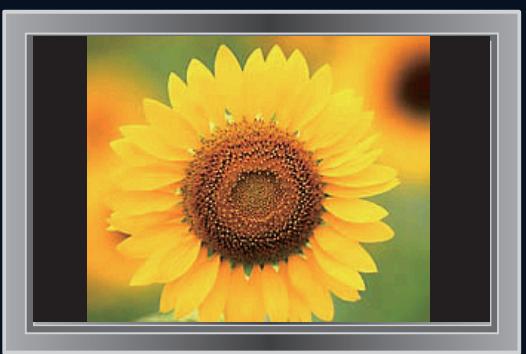 SAMSUNG LE40B554M2W - Précautions à prendre lors de l'affichage d'une image fixe - 1