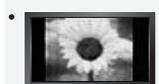 SAMSUNG LN40A750 - Précautions à prendre lors de l'affichage d'une image fixe - 1
