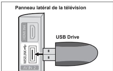 SAMSUNG LN40A750 - Branchement d'un dispositif USB - 1