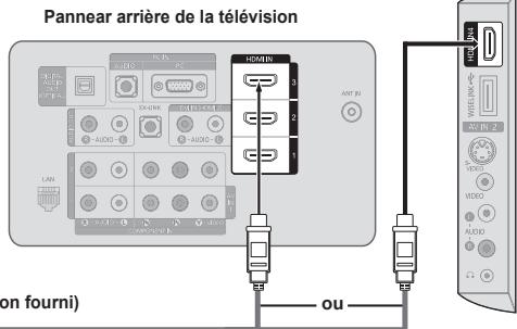 SAMSUNG LN40A750 - Branchement d'une boite de jonction servant à decrypter l'ensemble des canal - 10