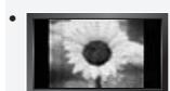 SAMSUNG LN46A750 - Précautions à prendre lors de l'affichage d'une image fixe - 1