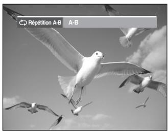 SAMSUNG DVD-VR336 - Lecture en boucle d'une partie du disque (Lecture A-B à répétition) - 6