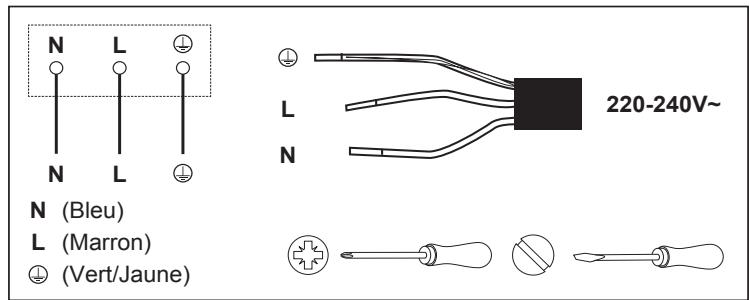 COOKE & LEWIS 3663602429517 - AVERTISSEMENT : Il s'agit d'un apparéil de Classe 1. Il DOIT être raccordé à la terre. - 1