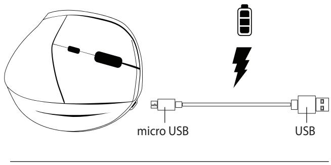BLUESTORK MWLERGOBK - Especifications - 1