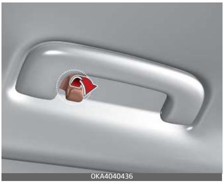 KIA Carnival (2021) - porte-manteau - 1