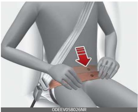 KIA Carnival (2021) - Avertissement - 1