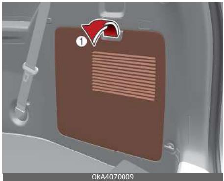 KIA Carnival (2021) - Filtre à air de climatisation arrière - 1