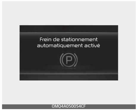 KIA Carnival (2021) - \* Remarque - 1