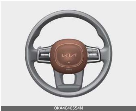 KIA Carnival (2021) - Klaxon - 1