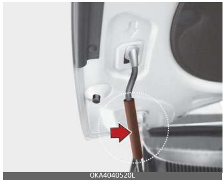 KIA Carnival (2021) - Tige de soutien - 1