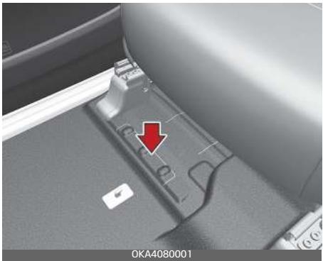 KIA Carnival (2021) - Numéro d'identification du véhicule (NIV) - 1