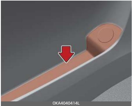 KIA Carnival (2021) - Compartiment de rangement - 1