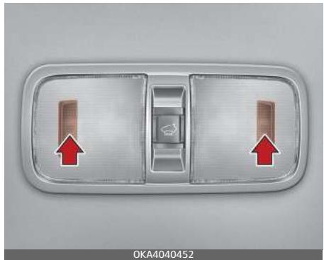 KIA Carnival (2021) - \* Remarque - 1