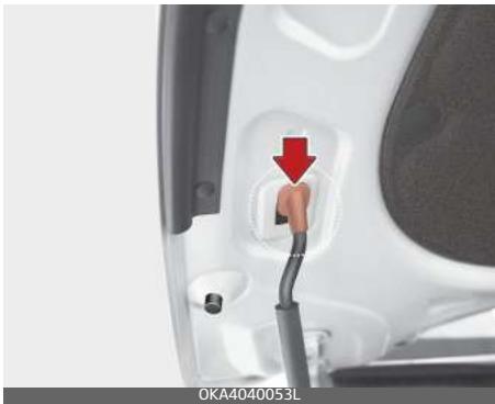 KIA Carnival (2021) - Ouverture du capotouverture du capot - 3